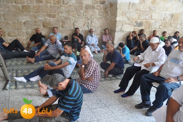 bazsalah lud 712 (60).JPG